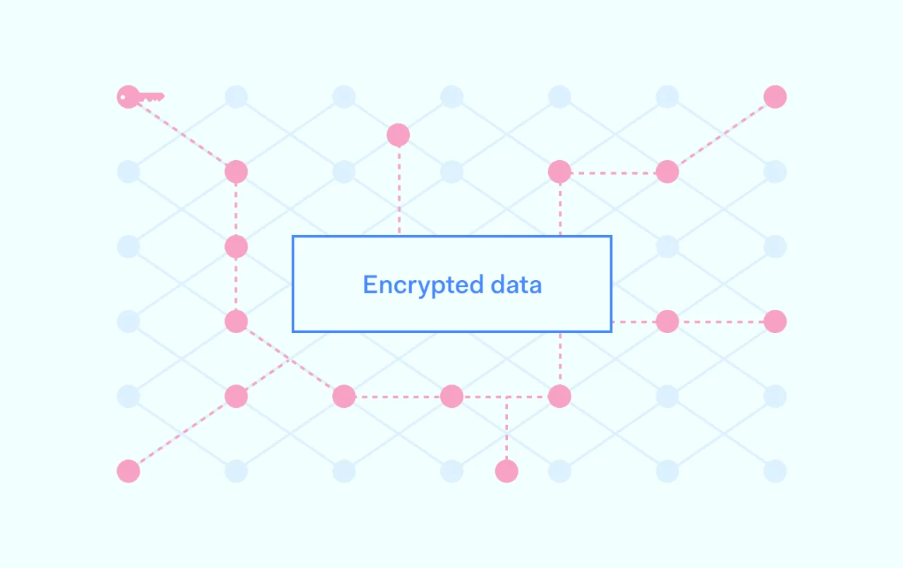 encrypted data visualisation