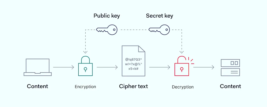 How to Encrypt Internet Connection: A Guide for Your Business | NordLayer
