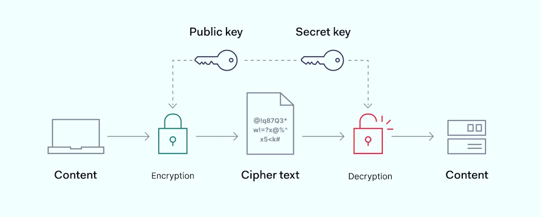 How to Encrypt Internet Connection: A Guide for Your Business | NordLayer