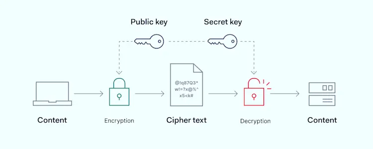 How to Encrypt Internet Connection: A Guide for Your Business | NordLayer