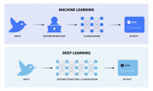 ML vs deep learning diagram