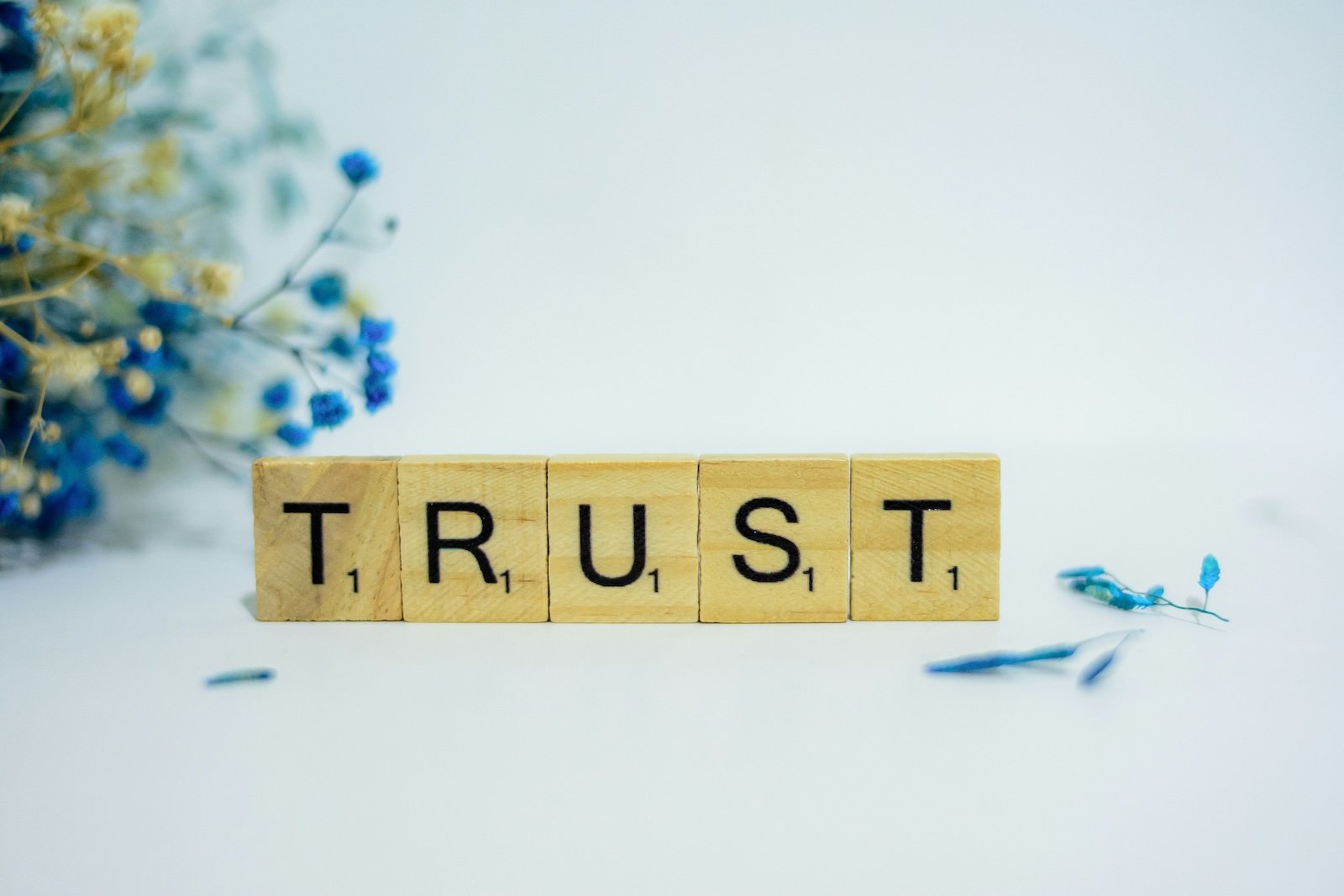 Deloitte: An opportunity to build trust