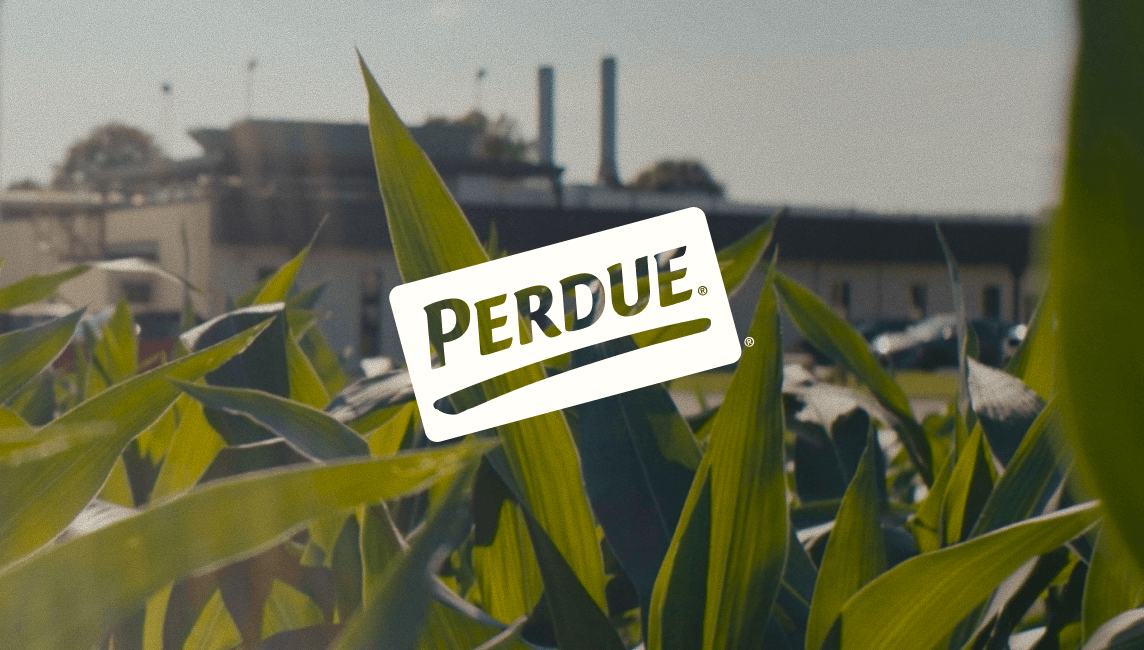 Perdue Farms: Empowering business strategy with AI