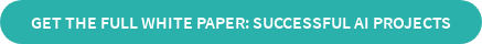 Get the full white paper: Successful AI projects