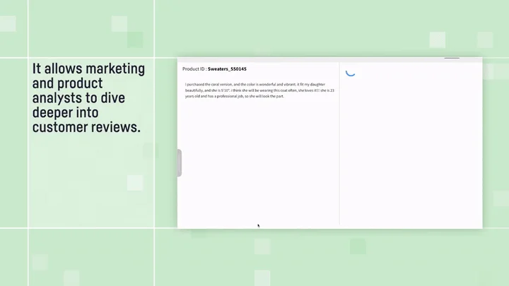 Customer Review Analyzer: text structuring example