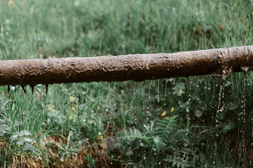 pexels-eberhard-grossgasteiger-4406597.jpg