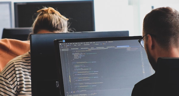 Who are long tail data scientists?
