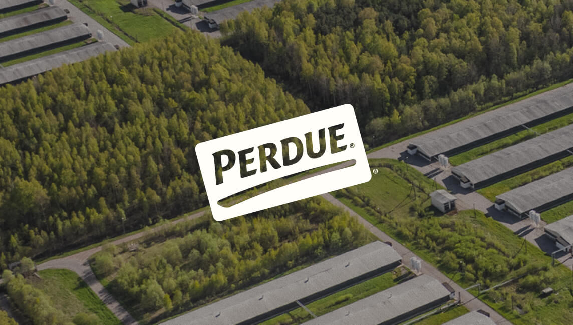 Perdue