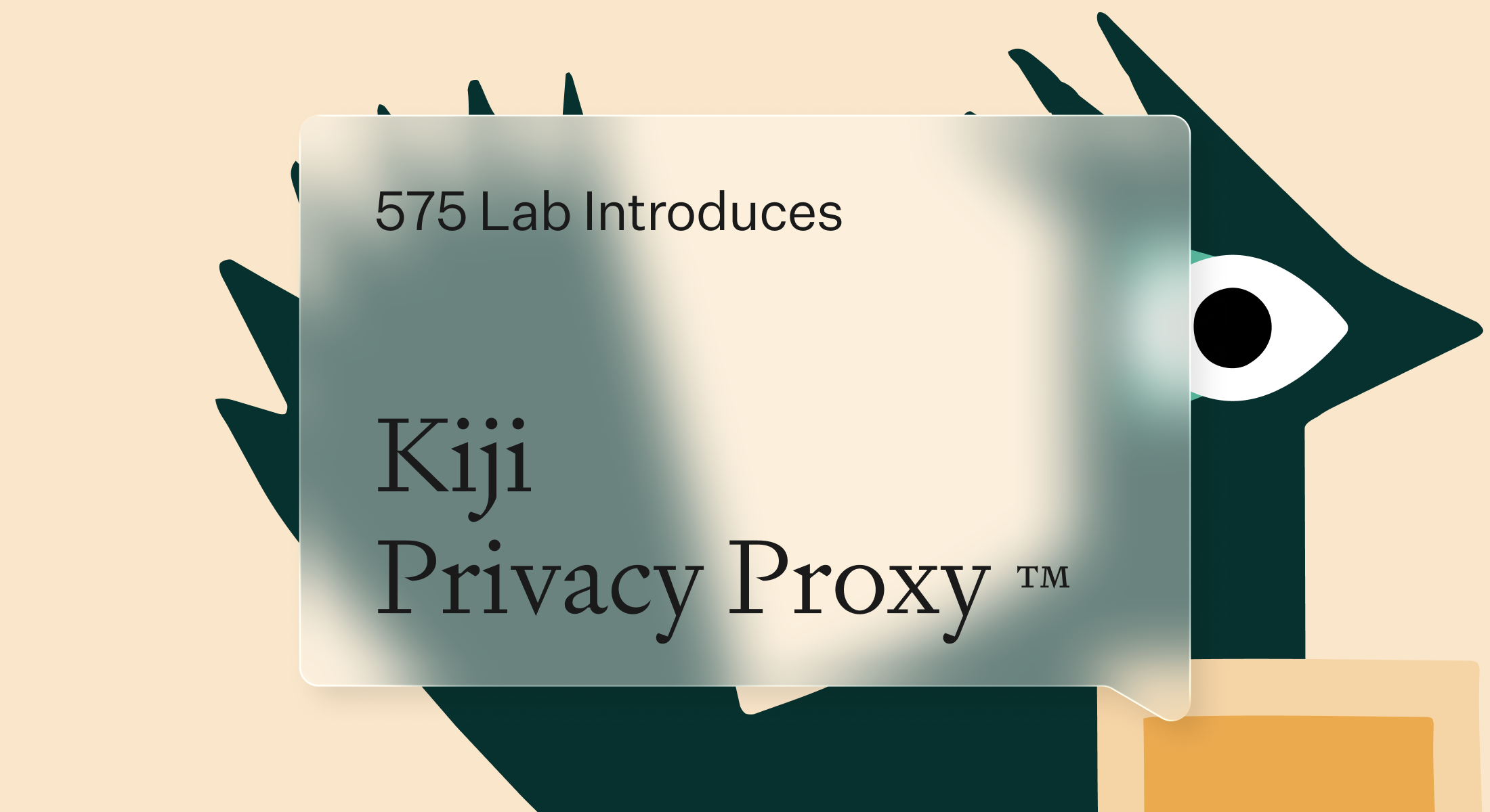 Dataiku Launches Kiji Privacy Proxy™