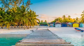 Repubblica dominicana - spiaggia caraibica con palme e mare cristallino.