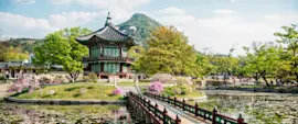 Corea del Sud - pagoda tipica su in isola all'interno di un lago, con un ponte antico che la collega alla terra ferma. Alberi e fiori tutti in torno al laghetto