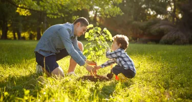 immagine Eura Casa Green