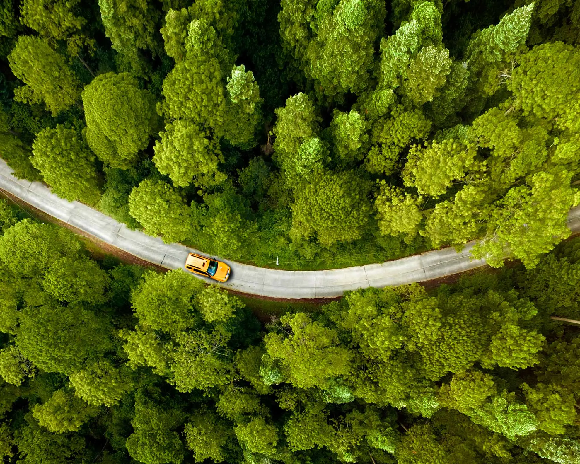 Mobilità