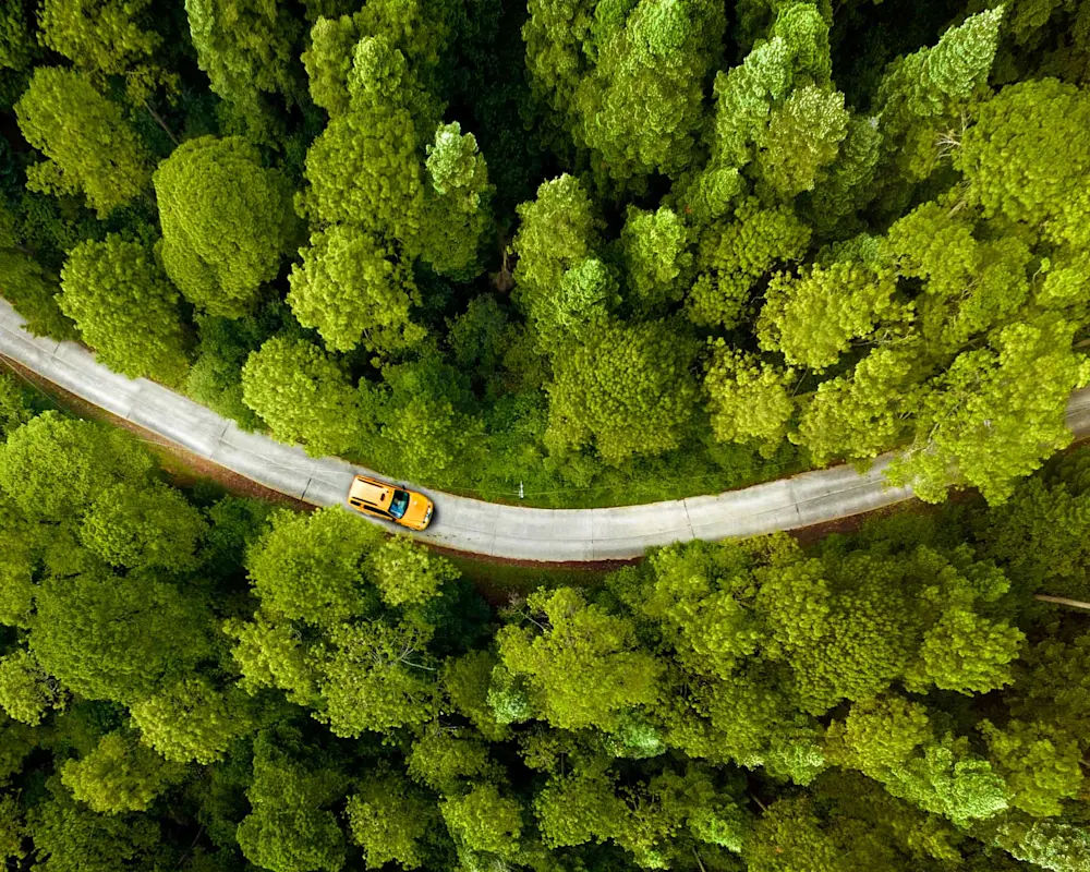 COSA FARE IN CASO DI SINISTRO / Mobilità 