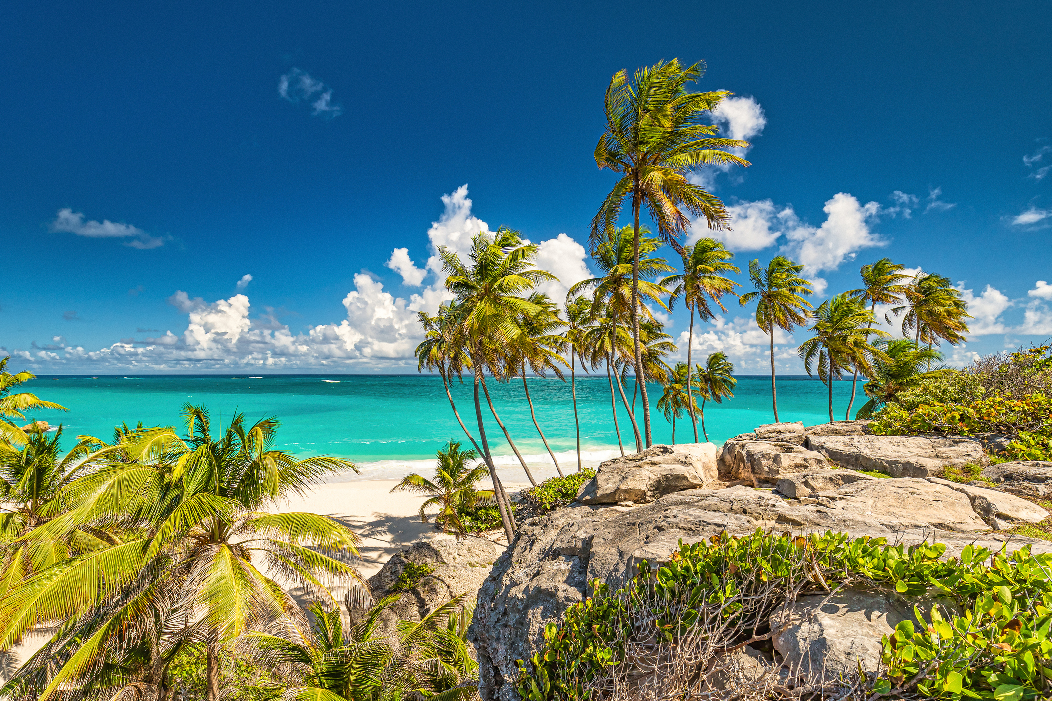 Caraibi - spiaggia con sabbia bianca, mare cristallino, palme e rocce.