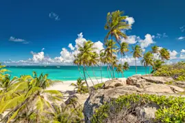 Caraibi - spiaggia con sabbia bianca, mare cristallino, palme e rocce.