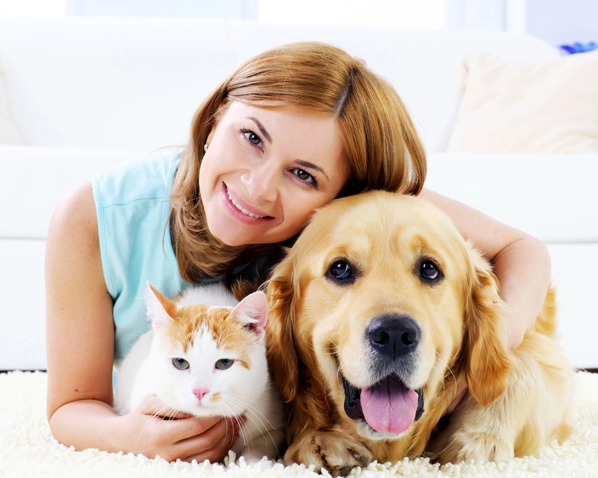 Descrizione immagine