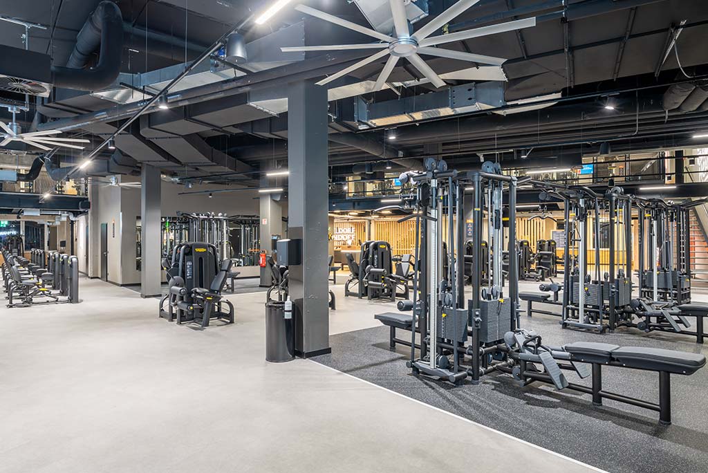 Zirkel-Bereich im FitX Fitnessstudio Düsseldorf-Derendorf, in dem verschiedene Trainingsgeräte kreisförmig angeordnet sind. Über den Geräten hängt ein großer Leuchtring, der in grün oder rot leuchtet und die Übungsdauer anzeigt.
