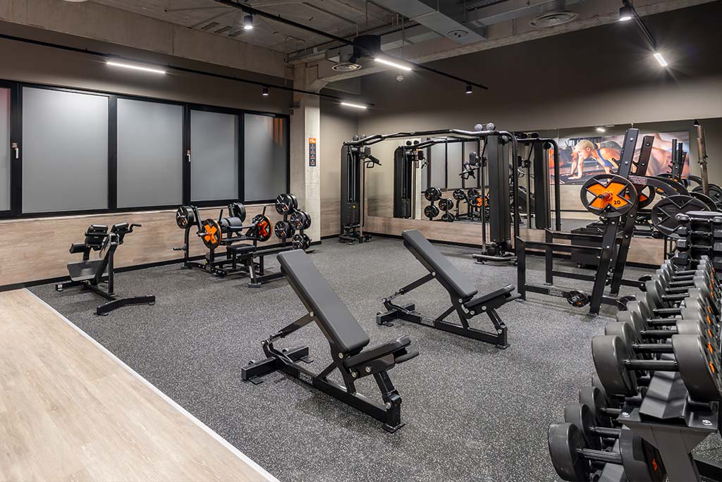 Abgetrennter Freihantelbereich für Frauen im FitX Fitnessstudio Remscheid-Süd, ausgestattet mit Kurzhanteln, Kraftgeräten und großen Spiegelfronten.