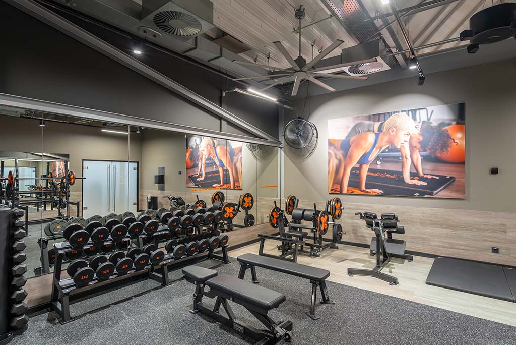 Abgetrennter Freihantelbereich für Frauen im FitX Fitnessstudio Neuss-Innenstadt, ausgestattet mit Kurzhanteln, Kraftgeräten und großen Spiegelfronten.