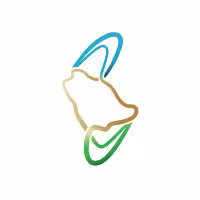 المشتري الرئيسي