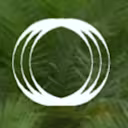 سرك