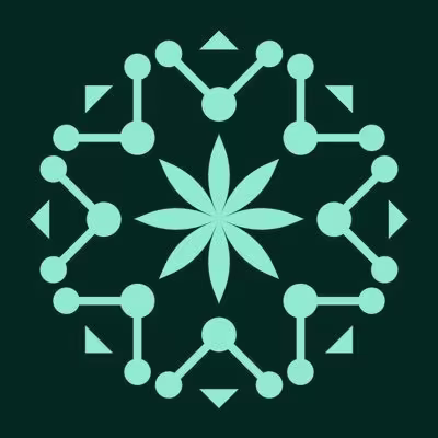 Organization