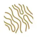 البحر الأحمر الدولية