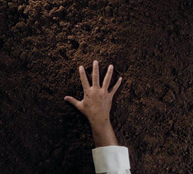 جينا نكملها، جينا نرويها، وبطبعنا ننميها