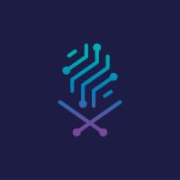 هيئة الحكومة الرقمية