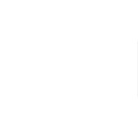 Brand experiences in Paris and London for Vans Waffleheads - collectors, customizers and creatives who carve their own space and with a personal connection to the brand.