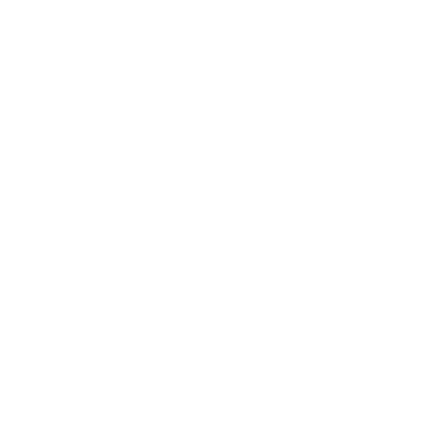 Vans x Girls in Film
