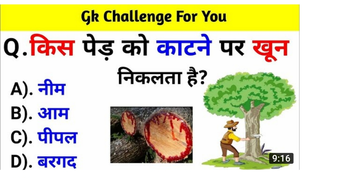 Compare Car Insurance Online - Insurance.GoanWorld11.com