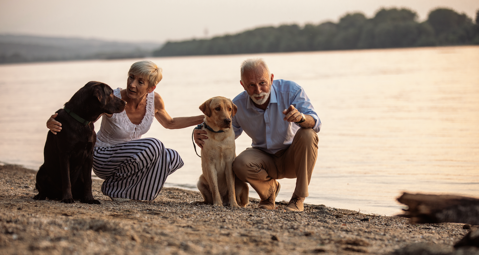 Golden Retirement Planning Ideas, Insights with GSAM