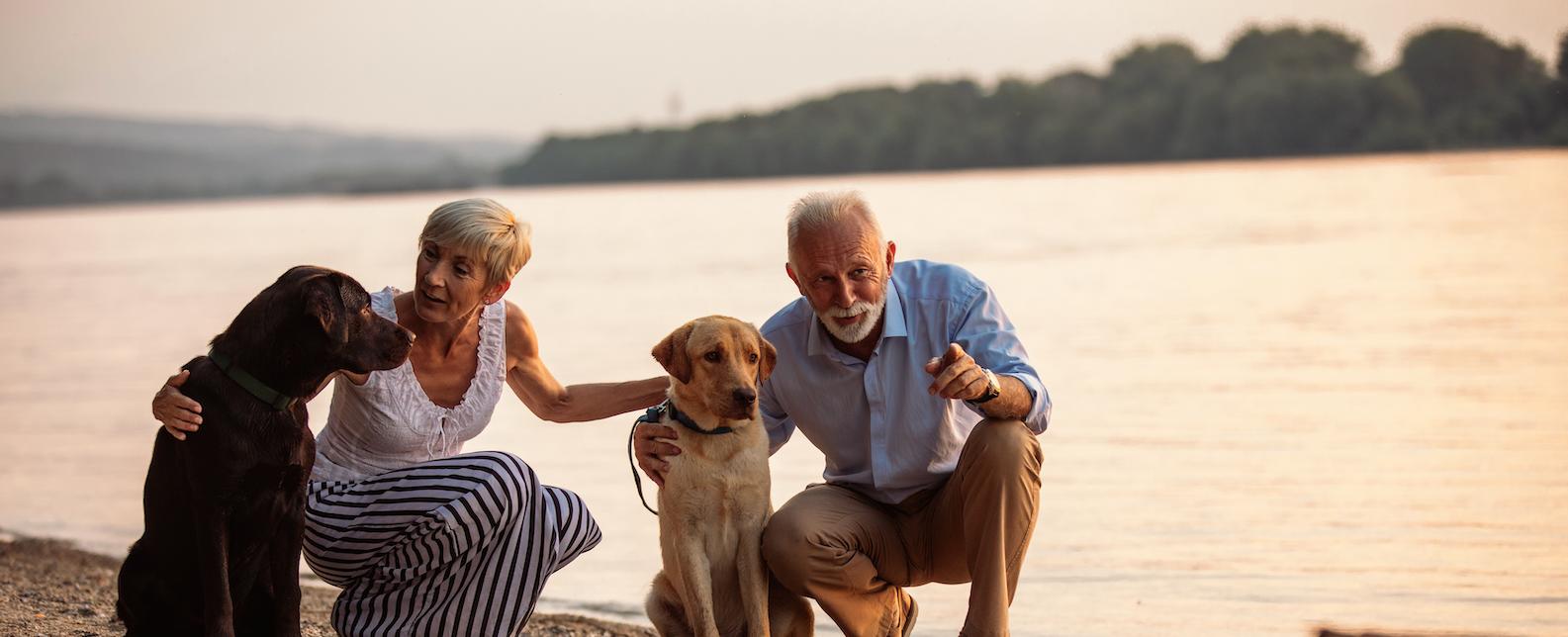 Golden Retirement Planning Ideas, Insights with GSAM