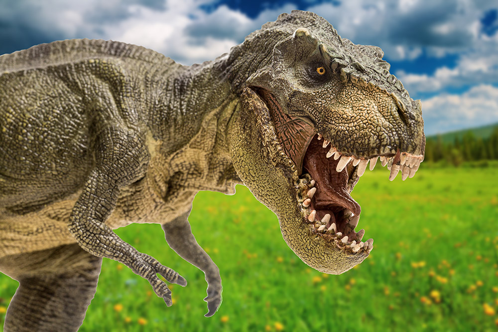 9 Current Tax Tips from the Carnivore’s Mouth - TorchLight Tax