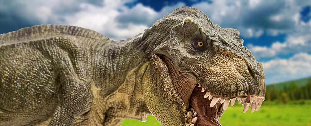 9 Current Tax Tips from the Carnivore’s Mouth - TorchLight Tax