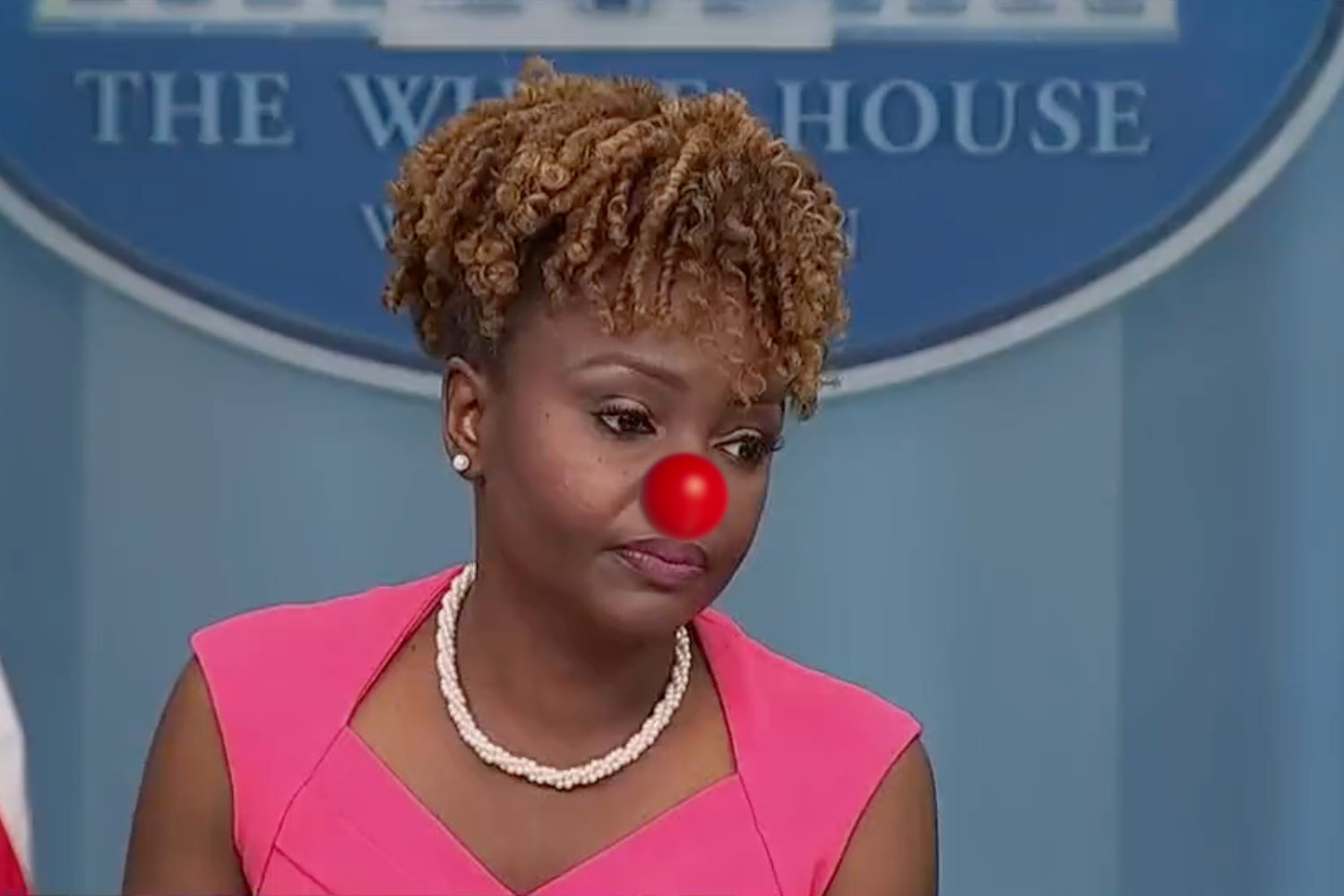 Karine Jean-Pierre: "Americans feel better about their personal finances" because of Biden's policies 🫠