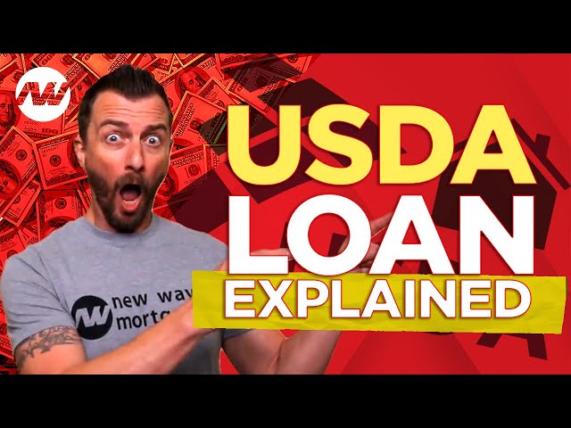 What They DON'T Tell You About USDA Home Loan 🤯 [This Will MAKE or BREAK Your Application!]