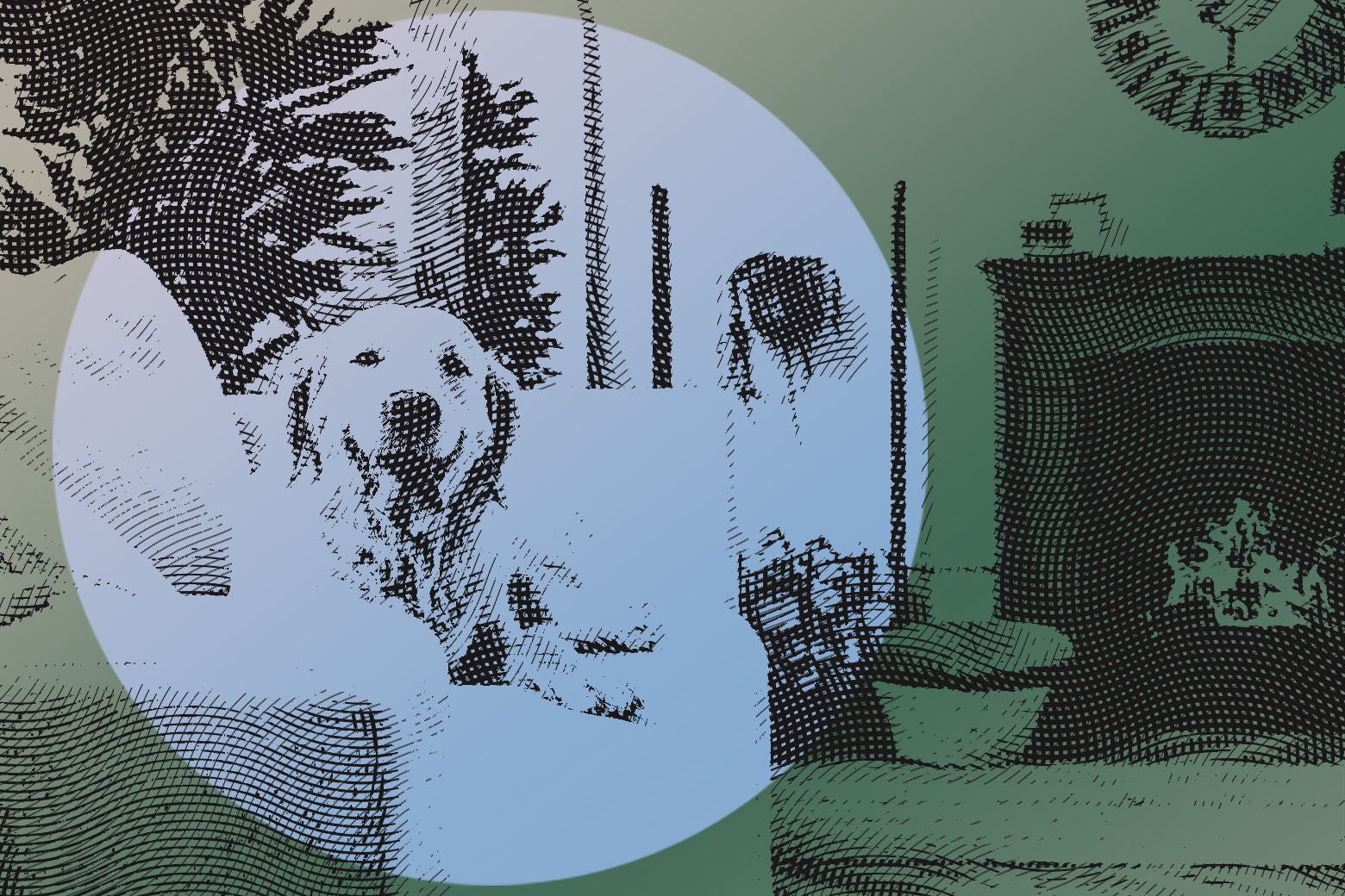 Personal finance advice: My parents' dogs are practically inheriting their house