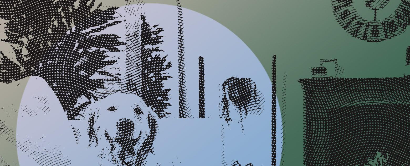 Personal finance advice: My parents' dogs are practically inheriting their house