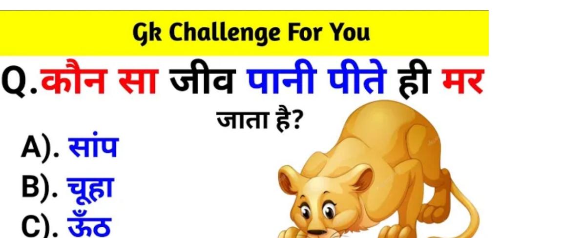 Cheapest Car Insurance - Insurance.GoanWorld11.com