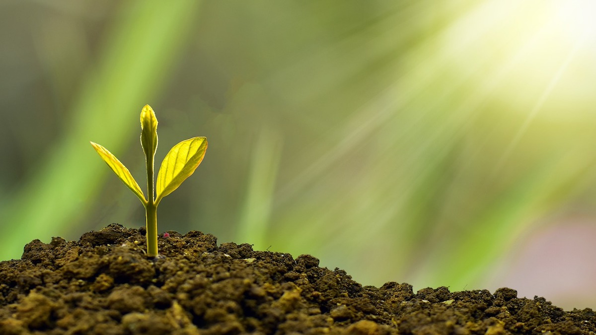 14 tips for millennials to navigate finance, investing and retirement planning