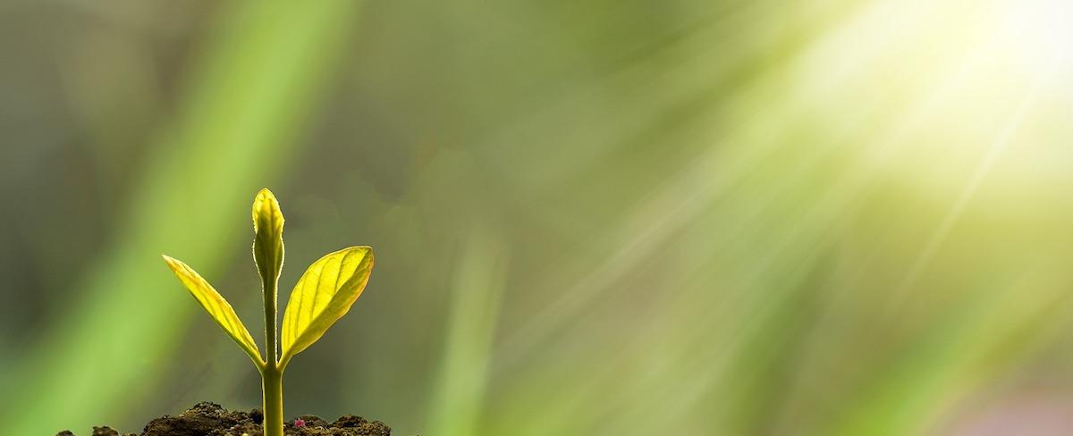 14 tips for millennials to navigate finance, investing and retirement planning