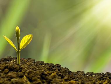 14 tips for millennials to navigate finance, investing and retirement planning