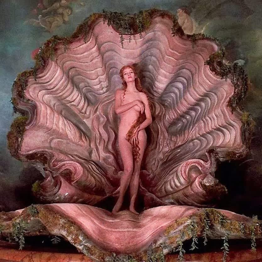 shell shocked (thumbnail)