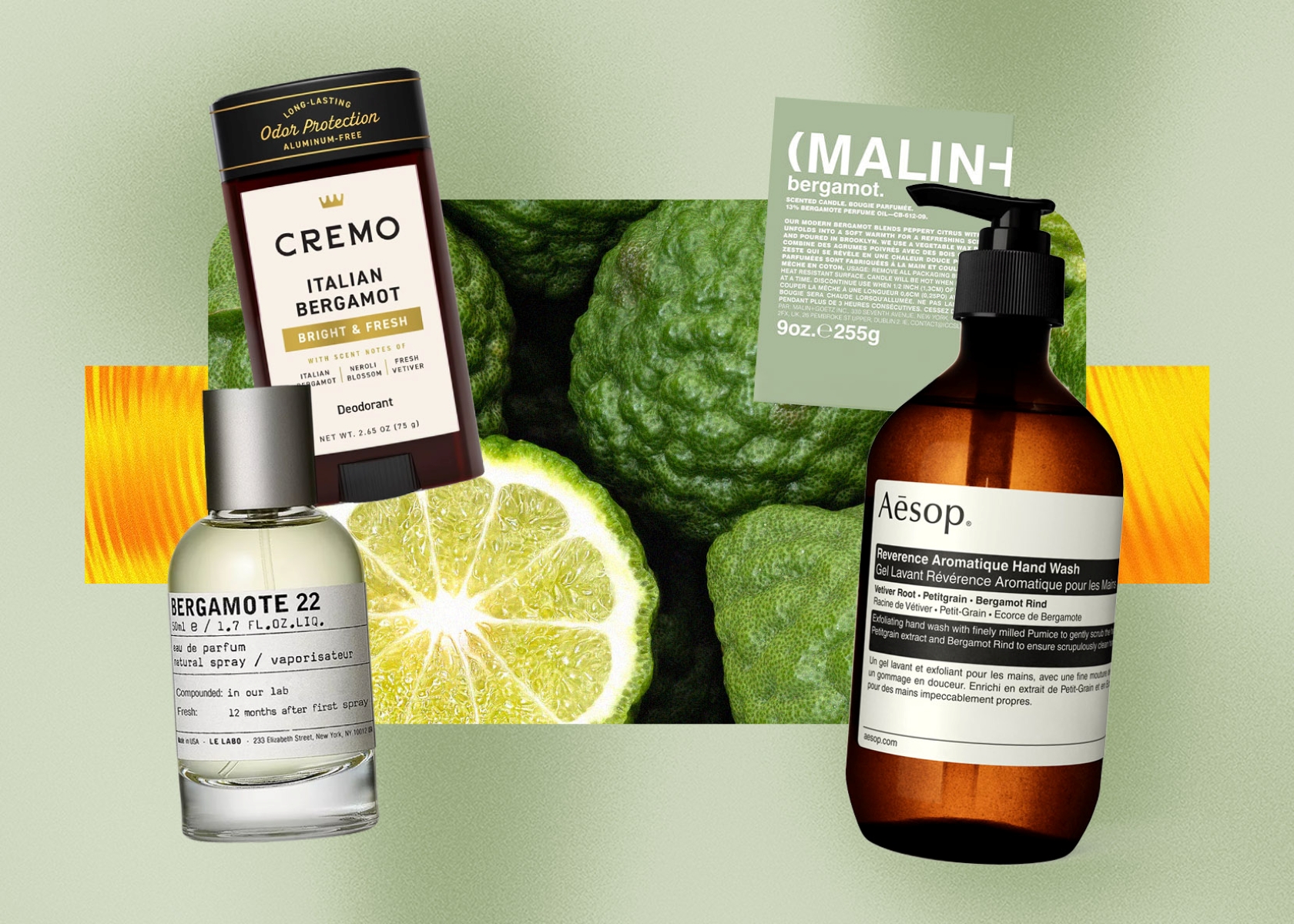 Digital culture and entertainment insights daily: Bergamot for All