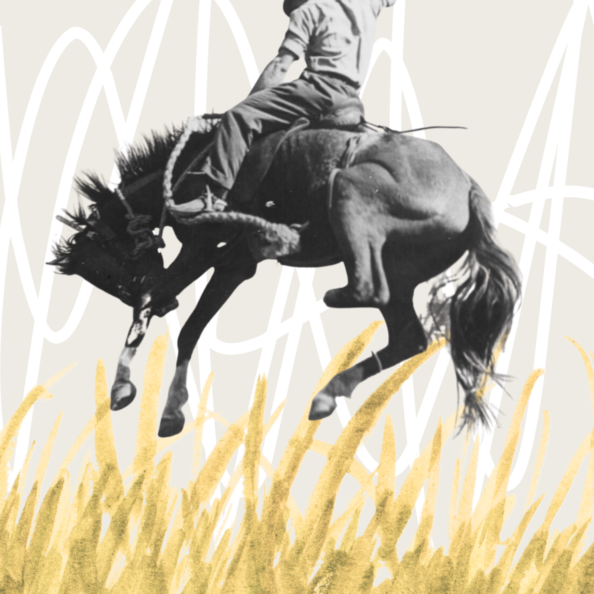 rodeo thumb