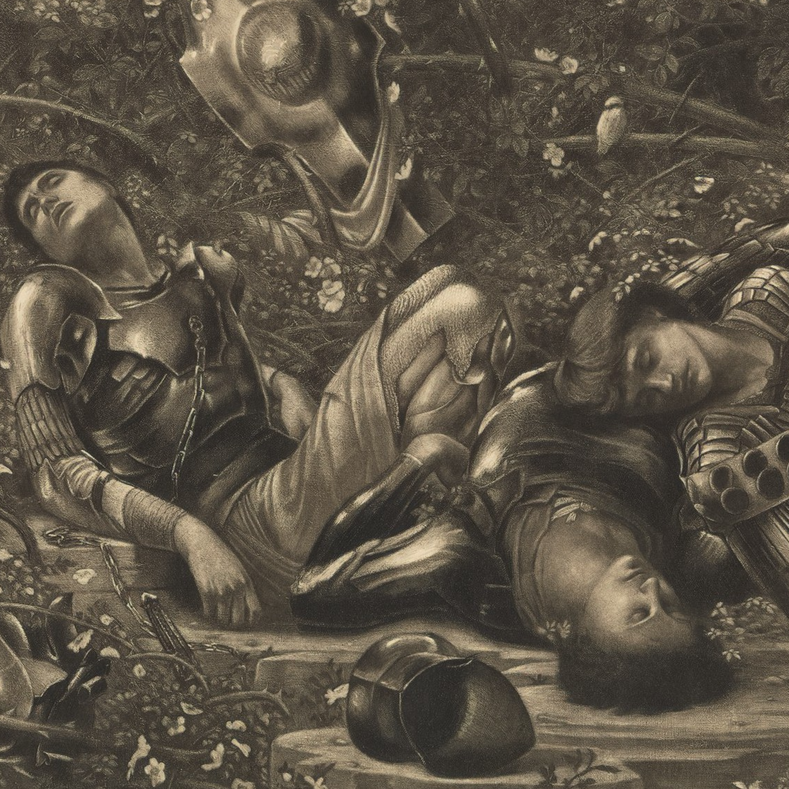 sleeping beauty square