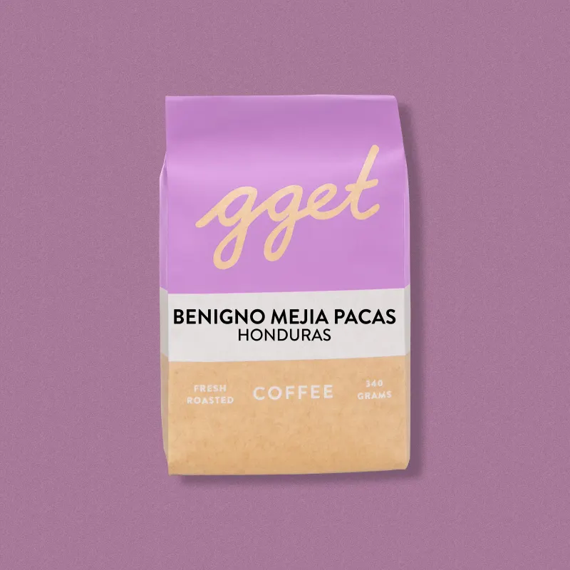 Benigno Mejia DF